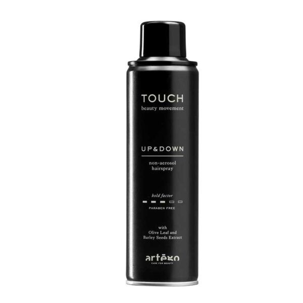 TOUCH UP AND DOWN 250 ML